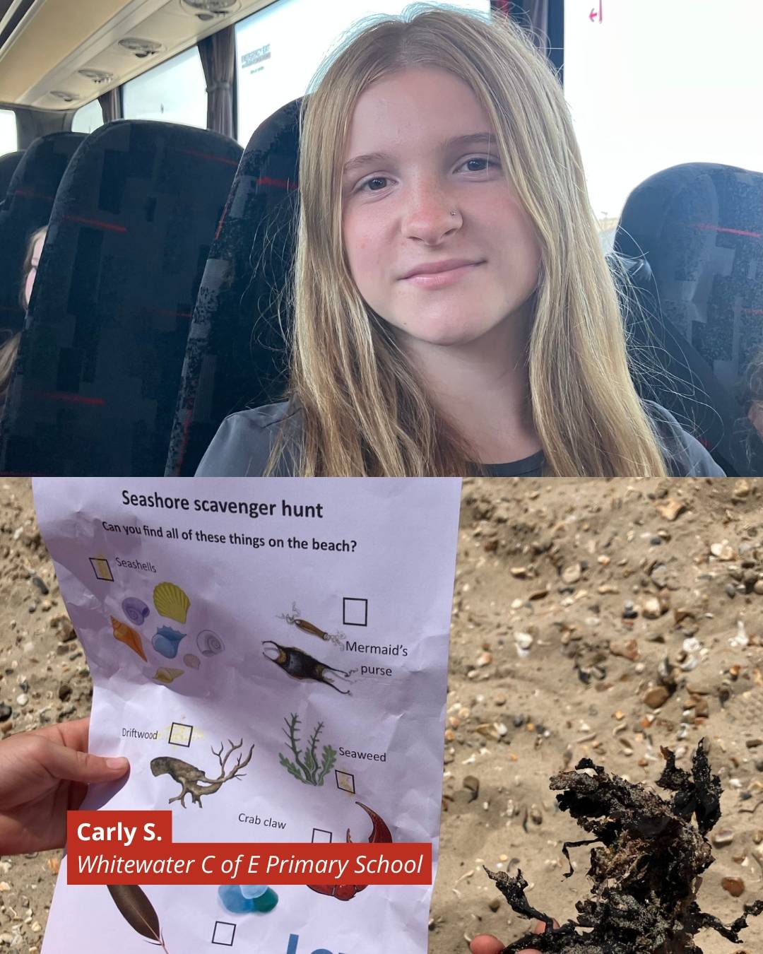 Teen girl on a bus smiling, with a 'Seashore scavenger hunt' worksheet shown below featuring seaweed, shells, and beach finds; a clump of dark seaweed rests on sandy beach nearby.