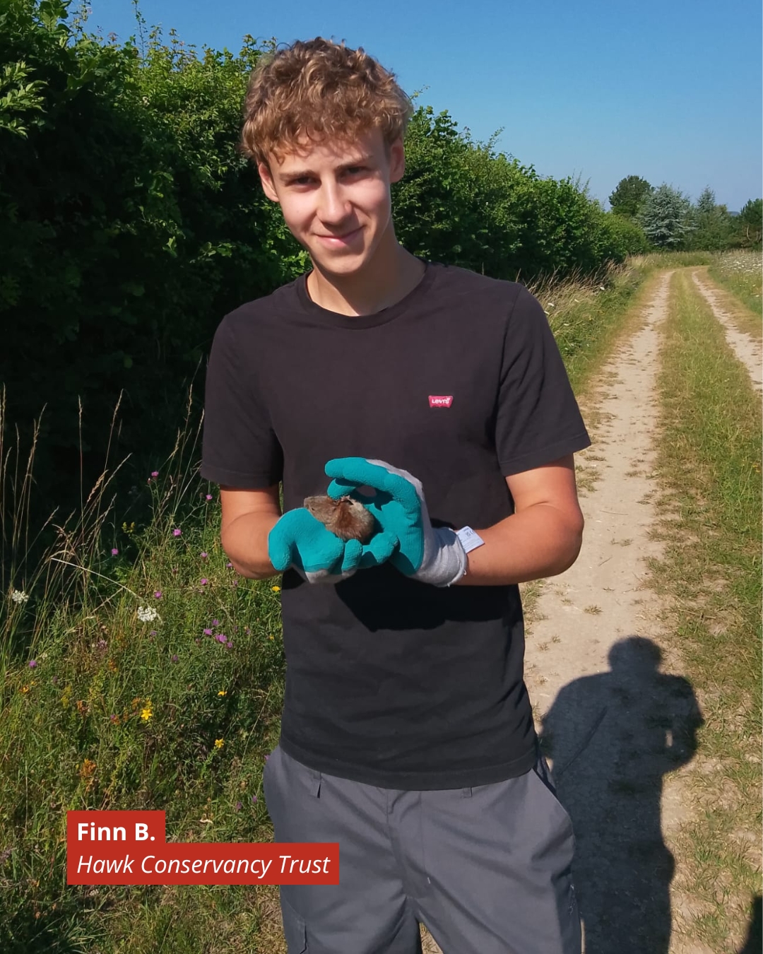 Young man in a black t-shirt and teal gloves holding a small brown animal outdoors on a rural path, with HawK Conservancy Trust branding in the corner and greenery around.