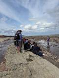 QMC Environmental Science Fieldwork