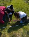 Group quadrant work at QMC