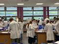 QMC Science Lab