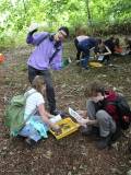 Students conducting fieldwork