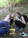 Students doing fieldwork