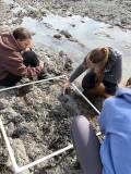Quadrant work during fieldwork