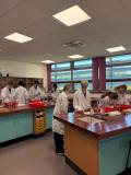 QMC Science Lab