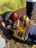 QMC environmental science student conducting fieldwork study